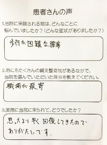 モルフォセラピーの体験者の声