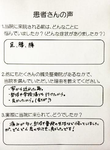 モルフォセラピーの体験者の声